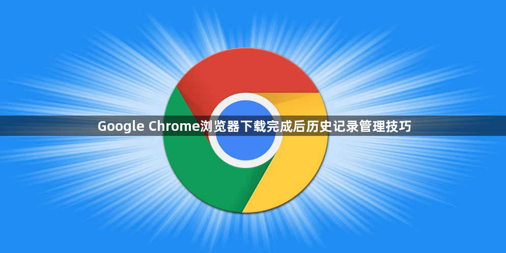 Google Chrome浏览器下载完成后历史记录管理技巧1