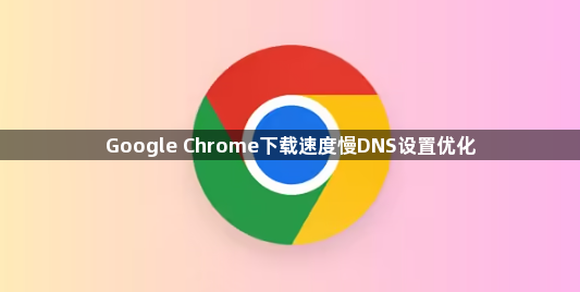 Google Chrome下载速度慢DNS设置优化1