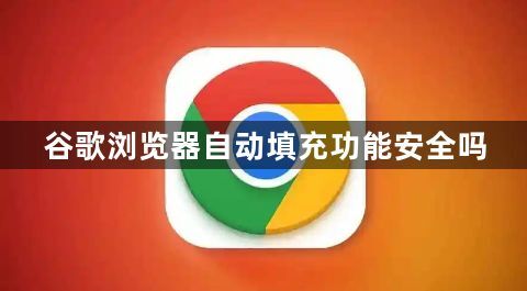 谷歌浏览器自动填充功能安全吗1