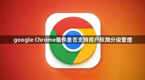 google Chrome插件是否支持用户权限分级管理1