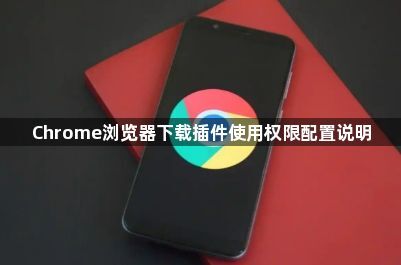 Chrome浏览器下载插件使用权限配置说明1