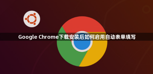 Google Chrome下载安装后如何启用自动表单填写1