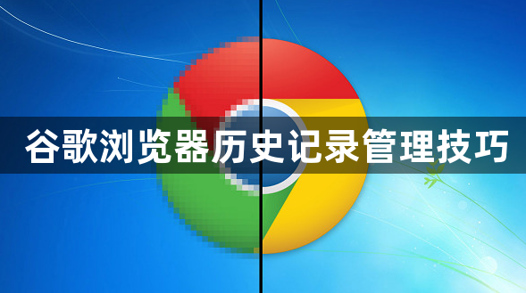 谷歌浏览器历史记录管理技巧1