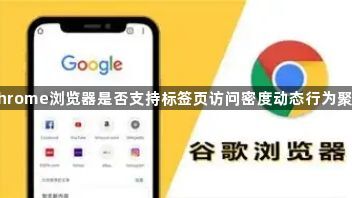 Chrome浏览器是否支持标签页访问密度动态行为聚合1