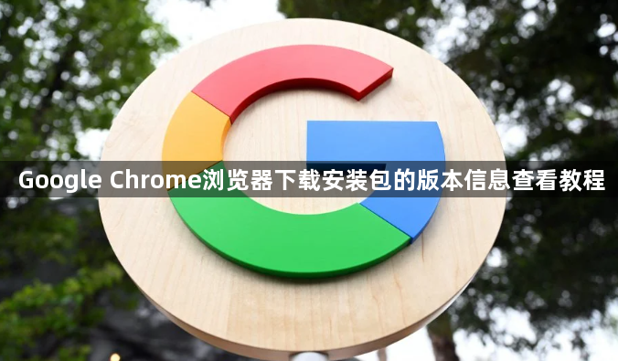 Google Chrome浏览器下载安装包的版本信息查看教程1
