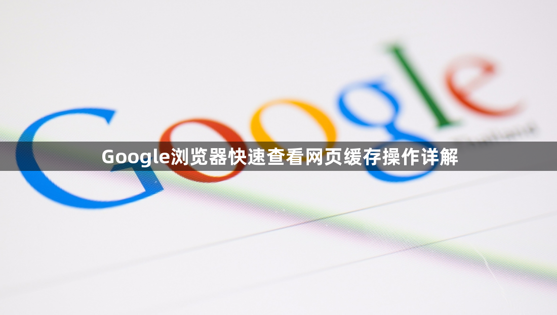 Google浏览器快速查看网页缓存操作详解1