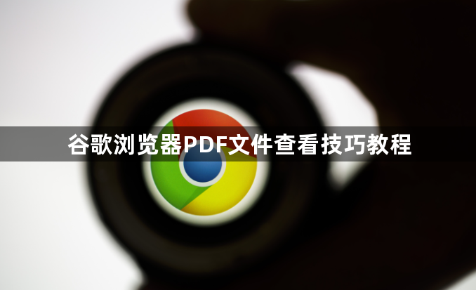谷歌浏览器PDF文件查看技巧教程1