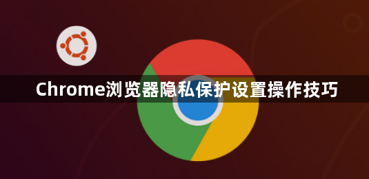 Chrome浏览器隐私保护设置操作技巧1