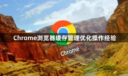 Chrome浏览器缓存管理优化操作经验1