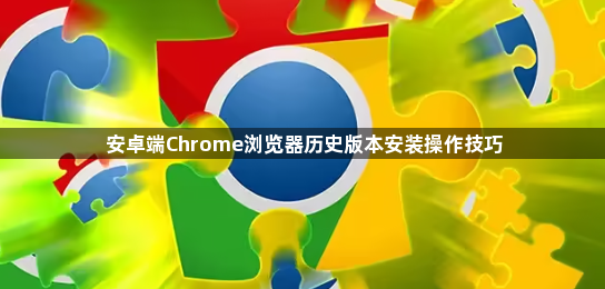 安卓端Chrome浏览器历史版本安装操作技巧1