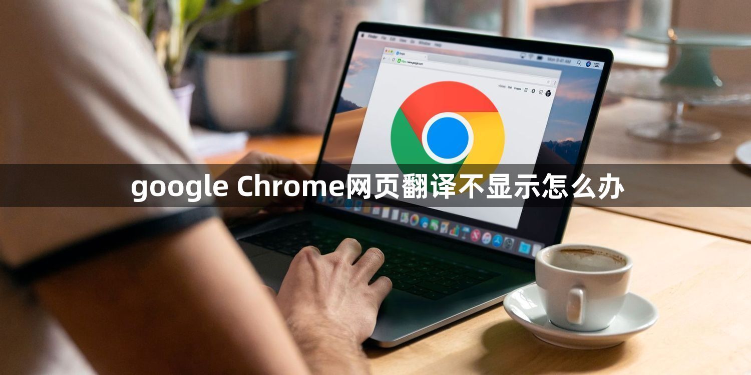 google Chrome网页翻译不显示怎么办1