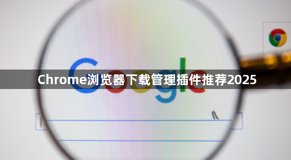Chrome浏览器下载管理插件推荐20251