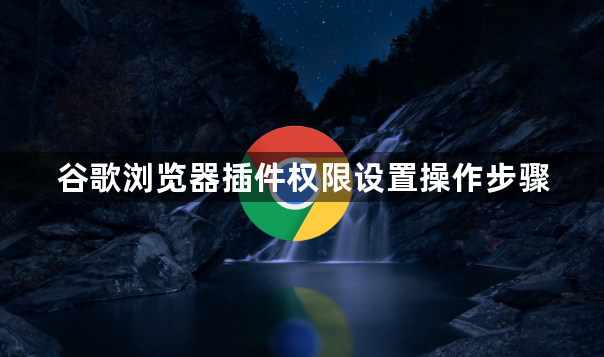 谷歌浏览器插件权限设置操作步骤1