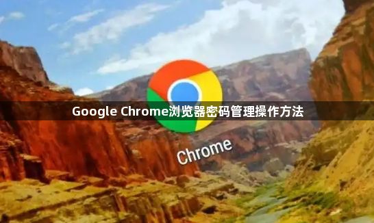 Google Chrome浏览器密码管理操作方法1