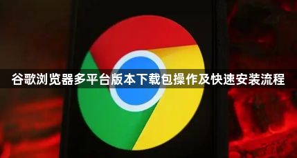 谷歌浏览器多平台版本下载包操作及快速安装流程1