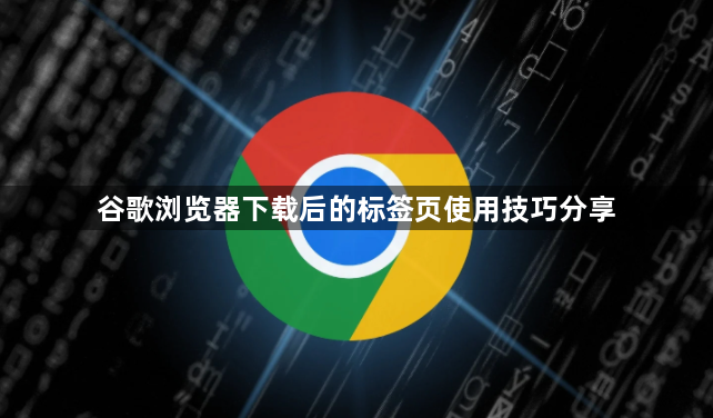 谷歌浏览器下载后的标签页使用技巧分享1