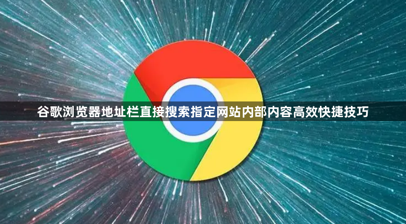 谷歌浏览器地址栏直接搜索指定网站内部内容高效快捷技巧1